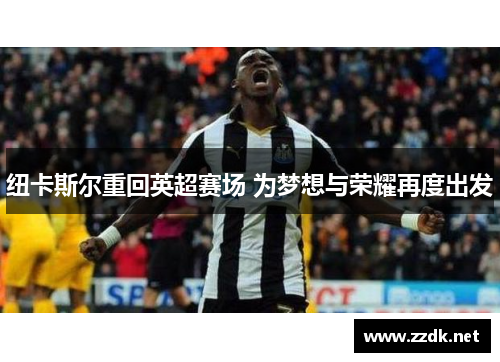 纽卡斯尔重回英超赛场 为梦想与荣耀再度出发 纽卡斯尔重回英超赛场 为梦想与荣耀再度出发