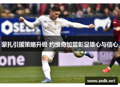 蒙扎引援策略升级 约维奇加盟彰显雄心与信心