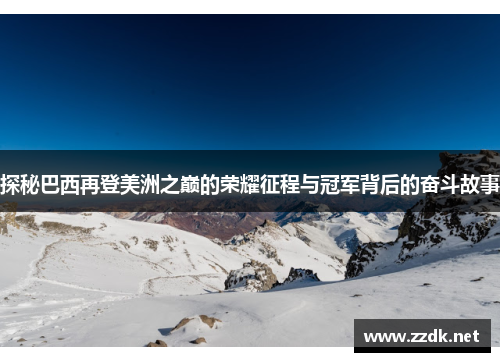 探秘巴西再登美洲之巅的荣耀征程与冠军背后的奋斗故事